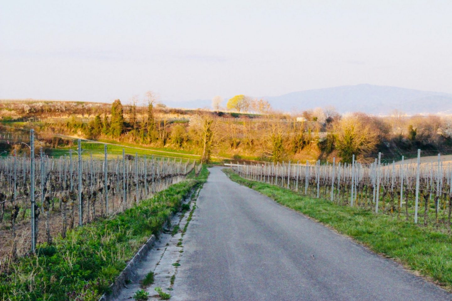 En About My Wine Tasting At A Demeter Farm